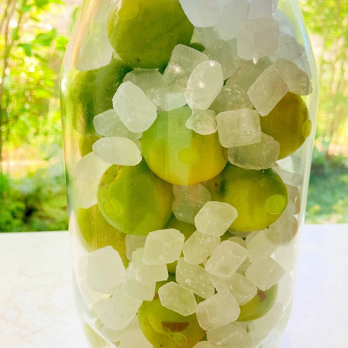 ♦️白く濁らない発酵もさせない!梅シロップ成功術